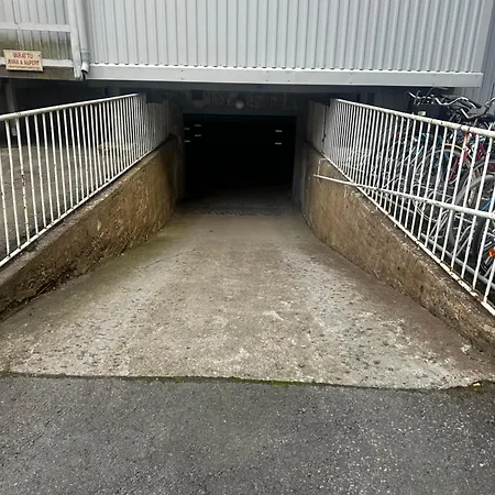 Lemmenpesä Ytimessä