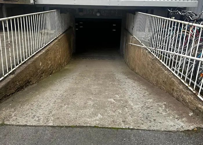 Lemmenpesae Ytimessae